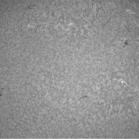 3月23日の太陽①（黒点帯）