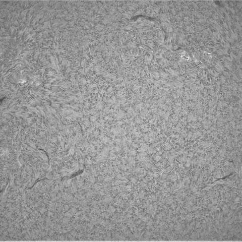 3月25日の太陽②（黒点帯）