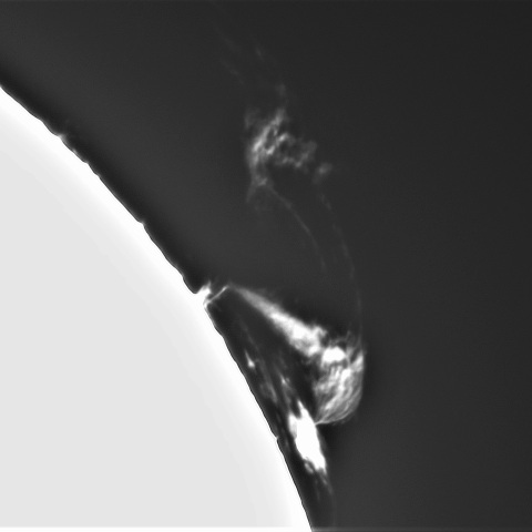 3月26日の太陽①（プロミネンス北西縁）