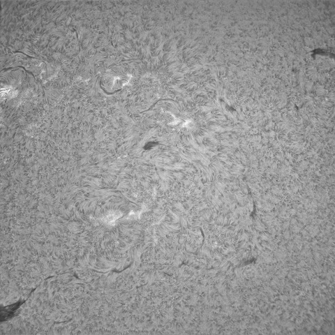 3月27日の太陽①（黒点帯）