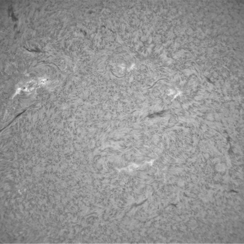 3月28日の太陽①（黒点帯）