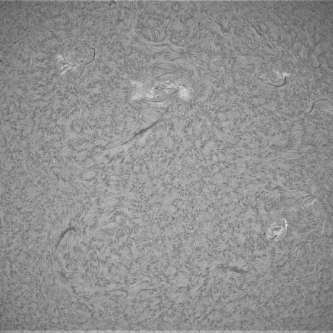 3月30日の太陽②（黒点帯）