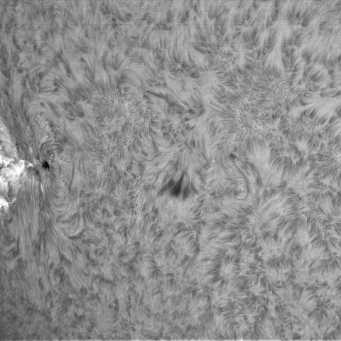 3月31日の太陽➂（4048，4045）