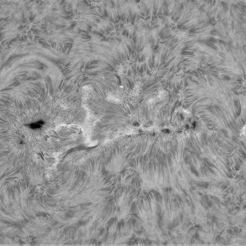 4月5日の太➂（4048）