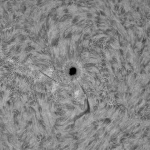 4月5日の太陽②（4046）