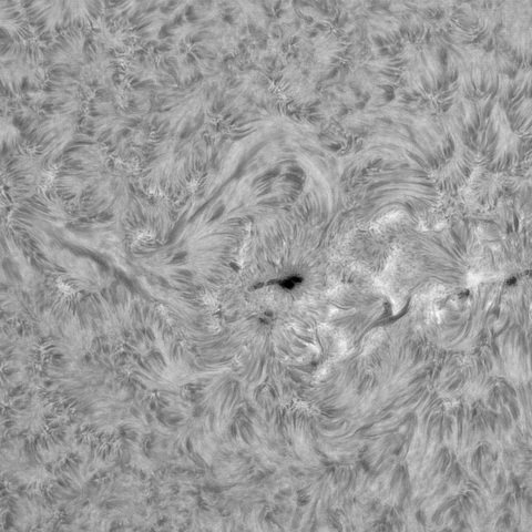 4月6日の太陽①（南半球正面）