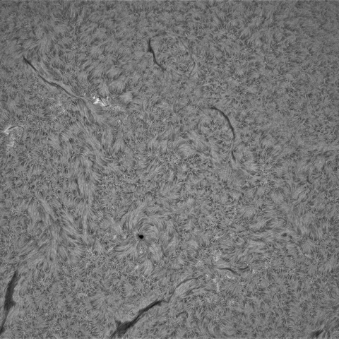 4月12日の太陽②（黒点帯）