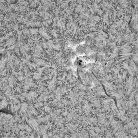 4月15日の太陽①（4060）