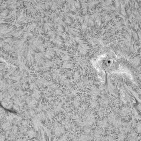 4月17日の太陽②（4063，4060）