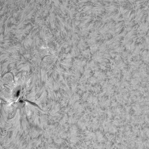 4月17日の太陽①（4064，4062）