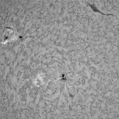4月19日の太陽②(4064，4062)