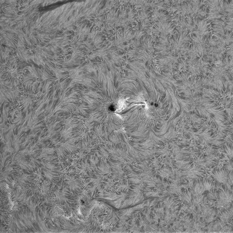 4月24日の太陽➂(4072.4068,4070）