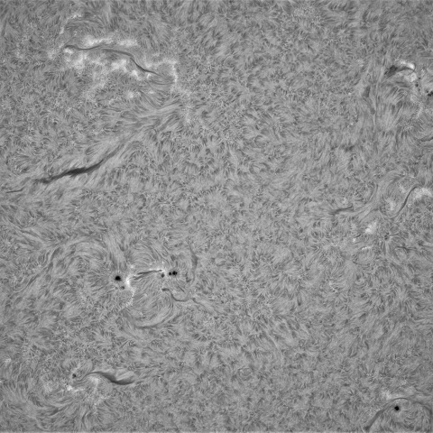 4月25日の太陽①(黒点帯 ）
