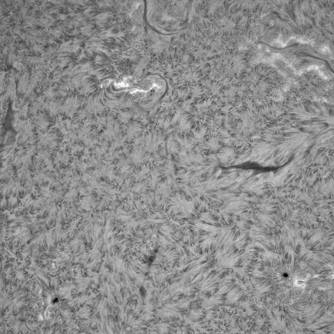 4月26日の太陽②(東半球 ）