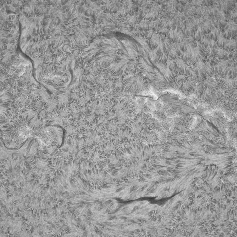 4月27日の太陽②(北半球正面 ）