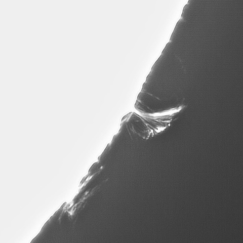 4月30日の太陽➂(ループプロミネンス ）