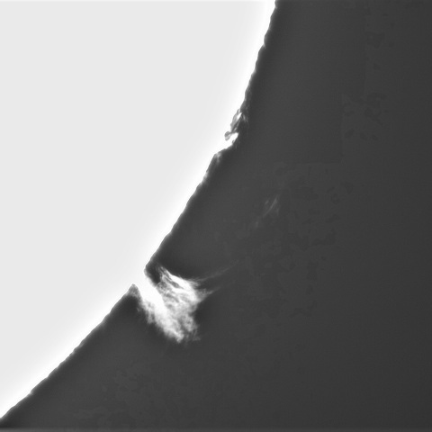 5月3日の太陽②(プロミネンス南西縁)