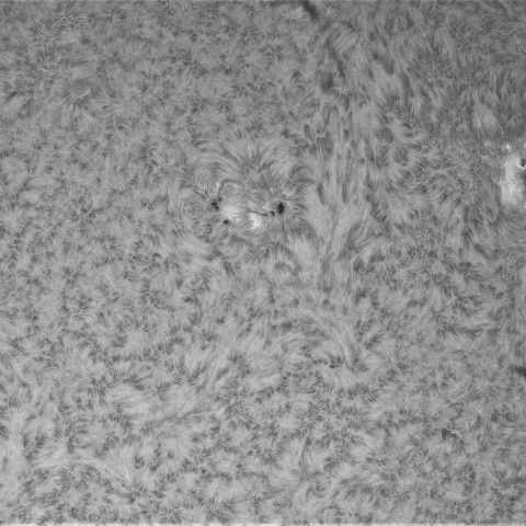 5月8日の太陽①(4082，4081，4079)