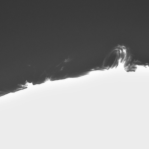 5月11日の太陽②(プロミネンス西縁)