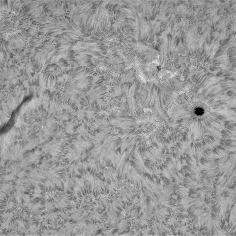 5月19日の太陽①(4090,4091,4089,4087)