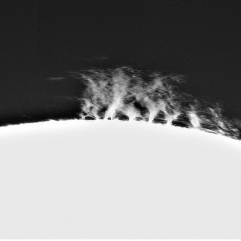 5月21日の太陽①(プロミネンス西縁)