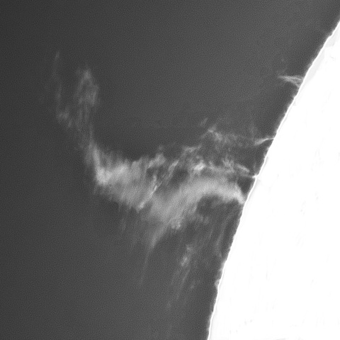 5月23日の太陽①(プロミネンス北東縁 画像処理修正)