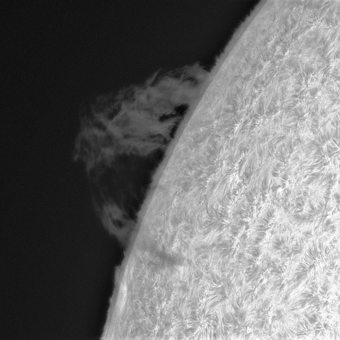 6月1日の太陽➂(プロミネンス北東縁)