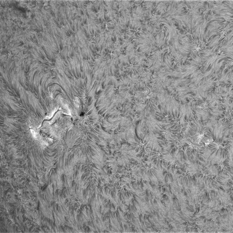 6月日の太陽①(4105)