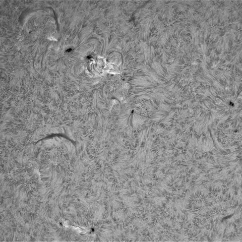 6月15日の太陽①(東面)