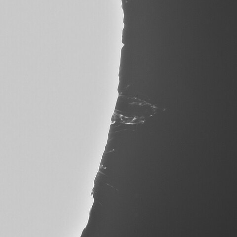 6月17日の太陽②（プロミネンス南西縁）