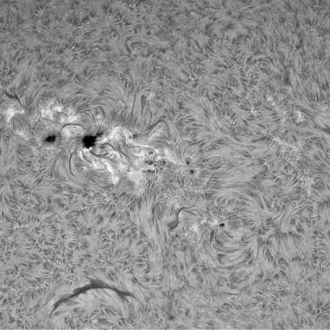 6月17日の太陽①（北半球正面）
