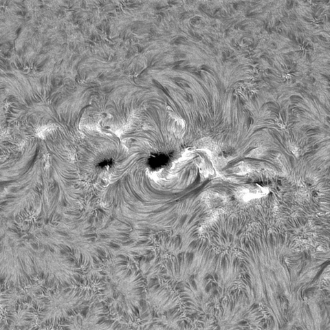 6月18日の太陽②（4115，4114，4113）