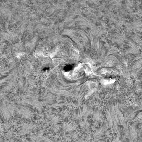 6月18日の太陽①（4115，4114，4113）