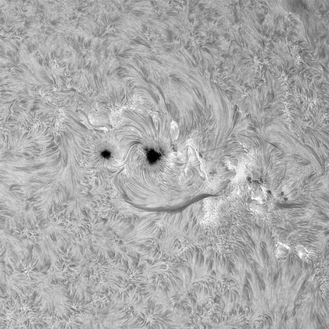 6月20日の太陽➂（4115，4114，4113）