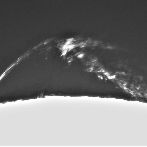 6月20日の太陽①（プロミネンス西縁）