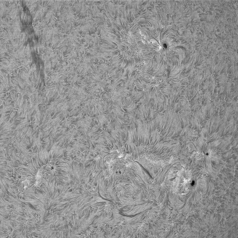6月27日の太陽④（4120,4121,4118,4117）