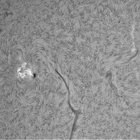 6月27日の太陽➂（4122）
