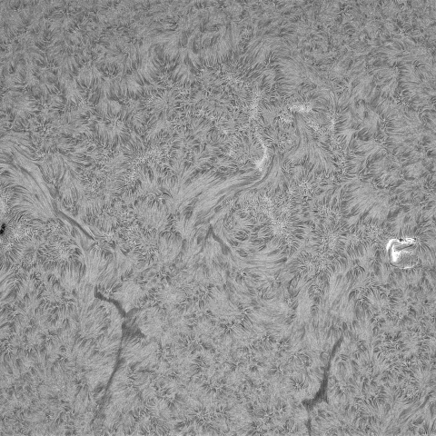 6月28日の太陽②（北半球正面）
