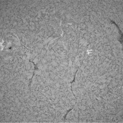6月28日の太陽①（黒点帯）