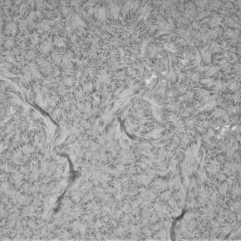 6月29日の太陽②（4122，4126）