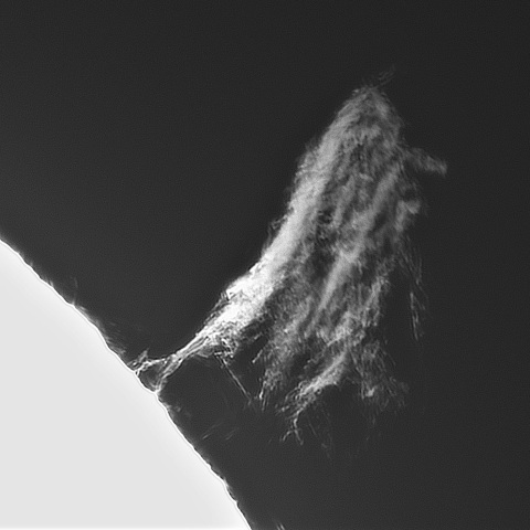 6月29日の太陽①（プロミネンス北西縁）