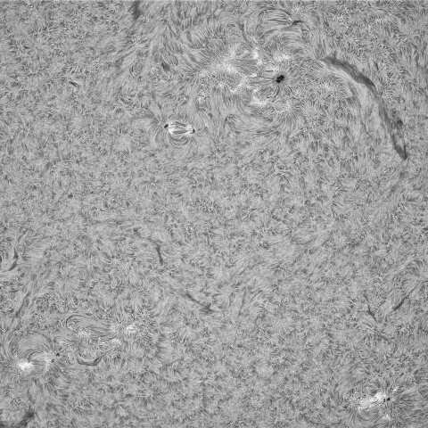 7月1日の太陽①（黒点帯）