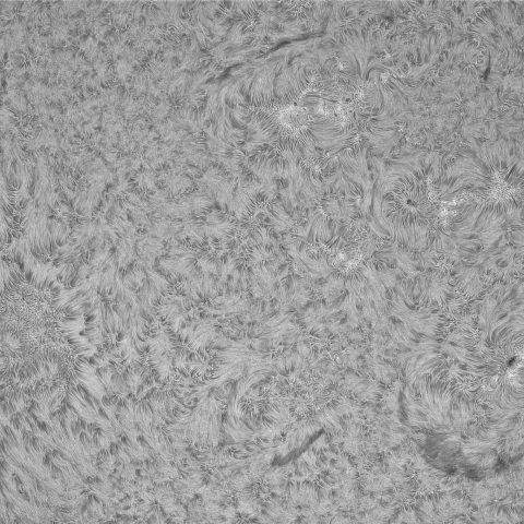 7月3日の太陽②（南東j面）