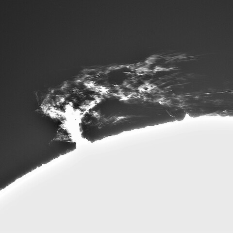 7月3日の太陽①（プロミネンス北西縁  90度左回転）