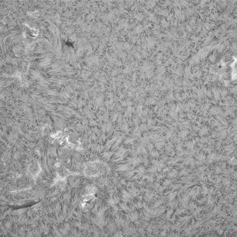 7月6日の太陽①（西面）