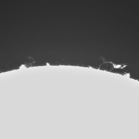 7月7日の太陽①（プロミネンス東縁）