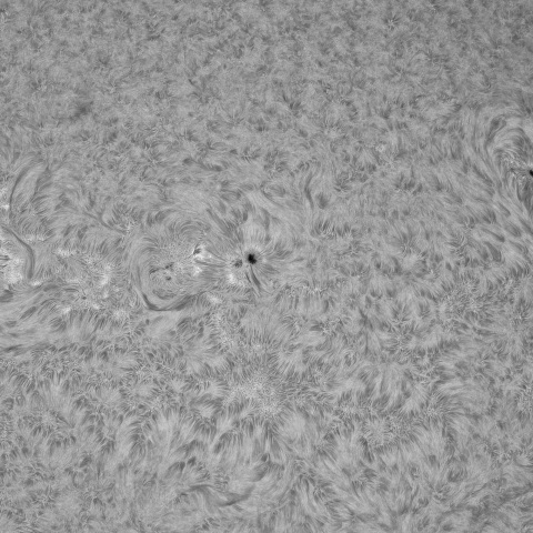 7月14日の太陽②（4136, 4139,  4138）