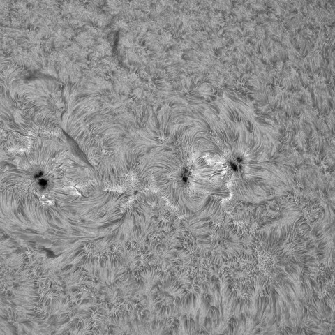 7月16日の太陽②（4143，4136，4139，4138）