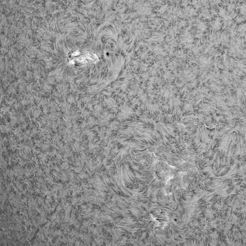 7月16日の太陽②（4144，4142，4140，4145）