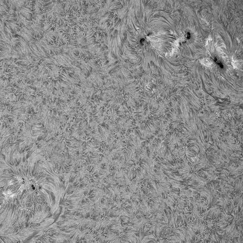 7月19日の太①（4142，4143，4136， 4139）